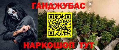 гашик Новодвинск
