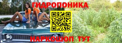 гашик Новодвинск