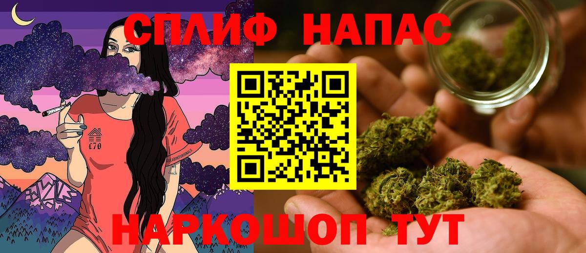 МАРИХУАНА сатива Балашов